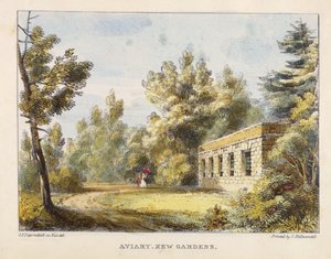 Aviary, Kew Gardens, skylt 10 från Kew Gardens: A Series of Twenty-Four Drawings on Stone, graverad av Charles Hullmandel (1789-1850) publicerad 1820 (handfärgad lito)
