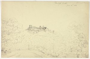Denbigh Castle från Segroyt Dingle