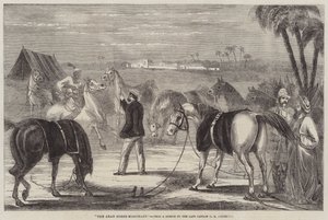Den arabiska hästhandlaren