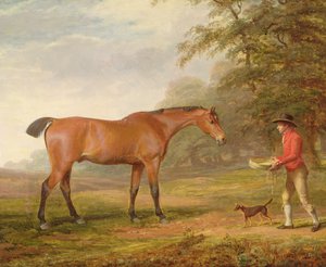 En Bay Horse närmade sig av en stallkille med mat och en grimma, 1789