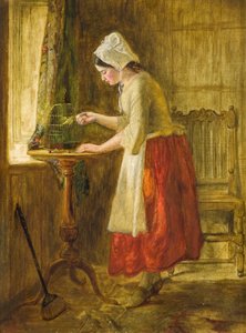 Mata fågeln (olja på panel)