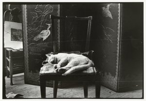 Katt på en stol i Breitners studio i Amsterdam av George Hendrik Breitner