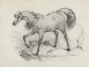 Stående häst, till vänster av George Hendrik Breitner