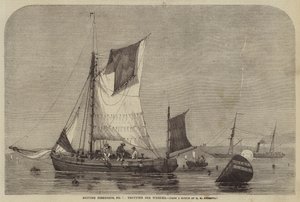 British Fisheries, nr 7, trav för Whelks av George Henry Andrews