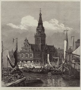 Rådhus och smörmarknad i Alkmaar, norra Holland