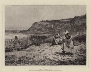 Änkans tunnland