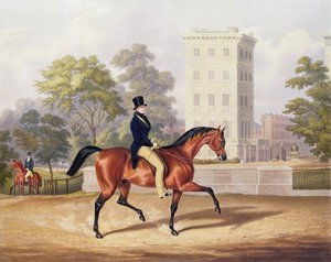 Markisen av Anglesea till häst i Hyde Park, i sitt 80:e år, graverad av J. Harris, 1847 (färggravyr)