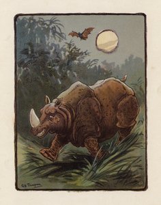 Noshörning (färglitografi) av George Henry Thompson
