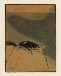 The Beetle (färglitografi)