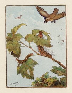 Larven (färglitografi)