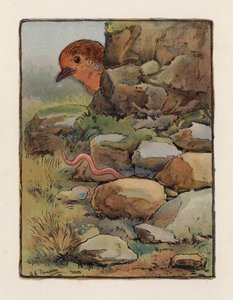The Worm (färglitografi) av George Henry Thompson