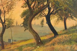 Friedberg i Hessen från Johannisberg Nauheim, 1903