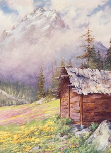 Caltha palustris och Primula farinosa på de övre fälten i Champex mot slutet av maj (färglitografi) av George Jackson Flemwell