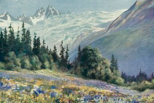 Campanula och andra juliblommor på Col Des Montets (färg litho)