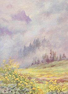 Trollius europaeus, globblomman, på de molntäckta fälten i början av juni (färglitografi) av George Jackson Flemwell