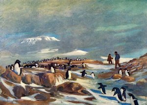Penguins återkomst, c1908, 1909.