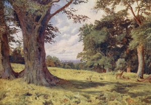 En glänta i Windsor Great Park (färglitografi) av George Moore Henton