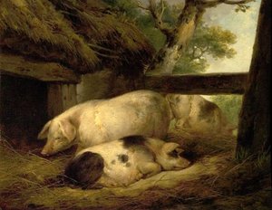 Studie av grisar av George Morland