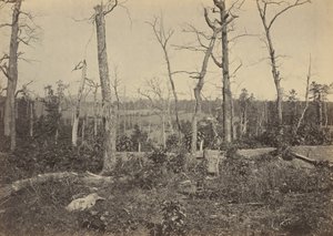 Slagfältet vid Resaca, Georgia, nr 3,1864 (foto)