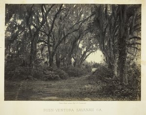 Bon-Ventura Savannah, Ga., 1866. av George N. Barnard