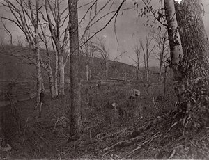 Bull Run, Virginia, 1861-62. av George N. Barnard