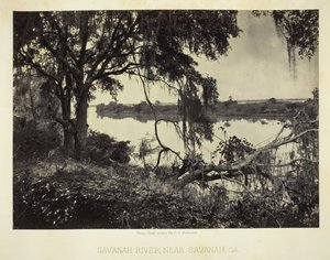 Savannah River, nära Savannah, GA, 1866. av George N. Barnard