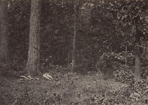 Scen för General McPhersons död, 1864 eller 1866. av George N. Barnard