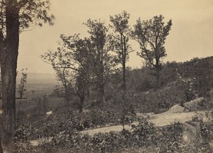  av George N. Barnard