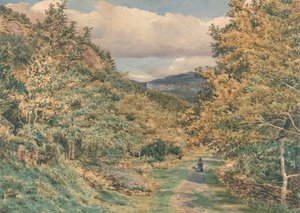 En väg nära Bettws-y-Coed av George Price Boyce