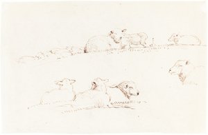 Studier av får i betesmark av George Richmond
