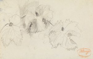 Studie av löv 1 av George Romney