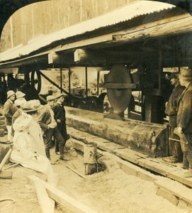 Timber Industry, Warburton, Victoria, Australien, 1909.