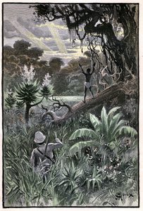 Illustration av George Roux till Jules Vernes bok "The Aerien Village" (1901), Hetzel edition/Extraordinary Voyages, Known and Unknown Worlds. Utsikt över en afrikansk skog (Kongo). av George Roux