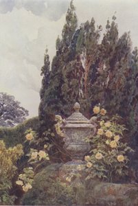 Glory of Dijon, Penshurst av George Samuel Elgood