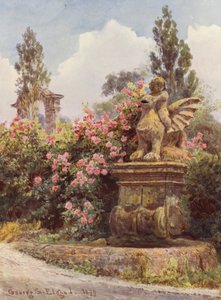 Italienska trädgårdar: Kina-rosor, Villa Imperiali (färglitografi) av George Samuel Elgood
