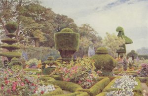 Levens, rosor och rosa av George Samuel Elgood