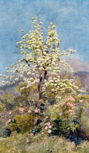 Päronblomster, Sjöalperna (färglitografi) av George Samuel Elgood