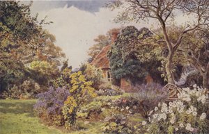 Stone Hall, Easton, vänskapsträdgården av George Samuel Elgood