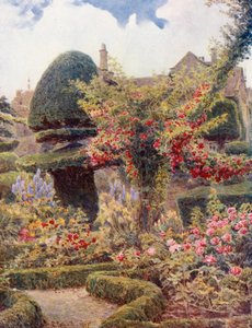 Rosenträdgården vid Levens Hall, Westmoreland (färglitografi)