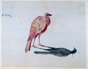 Fågel, 1820-1876 av George Sand