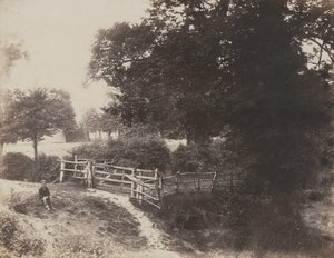 Gröna ängar av George Shadbolt