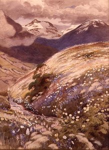 alpina blommor (akvarell på papper) av George Soper