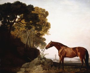 A Bay Arab in a Coastal Landscape, 1779 av George Stubbs