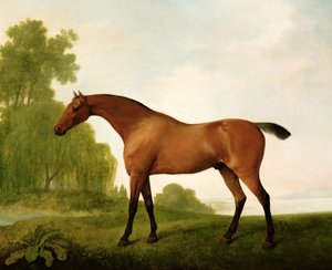 En Bay fullblod i ett landskap av George Stubbs