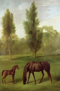 A Chestnut Mare and Fal in a Wooded Landscape, c.1761-63 (olja på duk) av George Stubbs