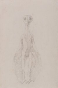 En jämförande anatomisk framställning av människokroppens struktur med tigerns och den vanliga fågelns: Uggla stående, vy framifrån av George Stubbs