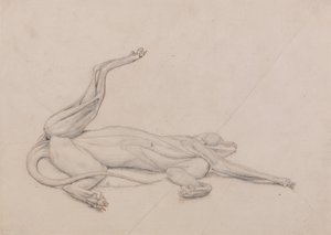 En jämförande anatomisk framställning av människokroppens struktur med tigerns och en vanlig hönas: Tiger, liggande, sedd ventralt av George Stubbs