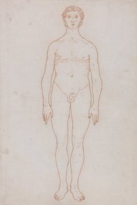 En jämförande anatomisk framställning av människokroppens struktur med tigerns och den vanliga fågelns: Studie av den mänskliga figuren, framifrån (översiktsritning för tabell VI) av George Stubbs