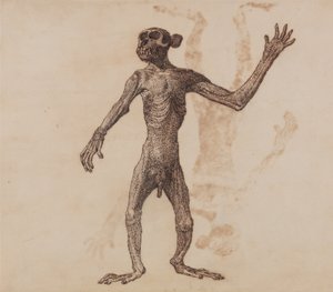 En jämförande anatomisk framställning av människokroppens struktur med tigerns och den vanliga fågelns:  Stående apa, vy framifrån av George Stubbs