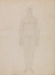 En jämförande anatomisk framställning av människokroppens struktur i förhållande till tigerns och den vanliga fågelns: Studie av människofiguren, framifrån (Förmodligen relaterad till tabell XI) av George Stubbs